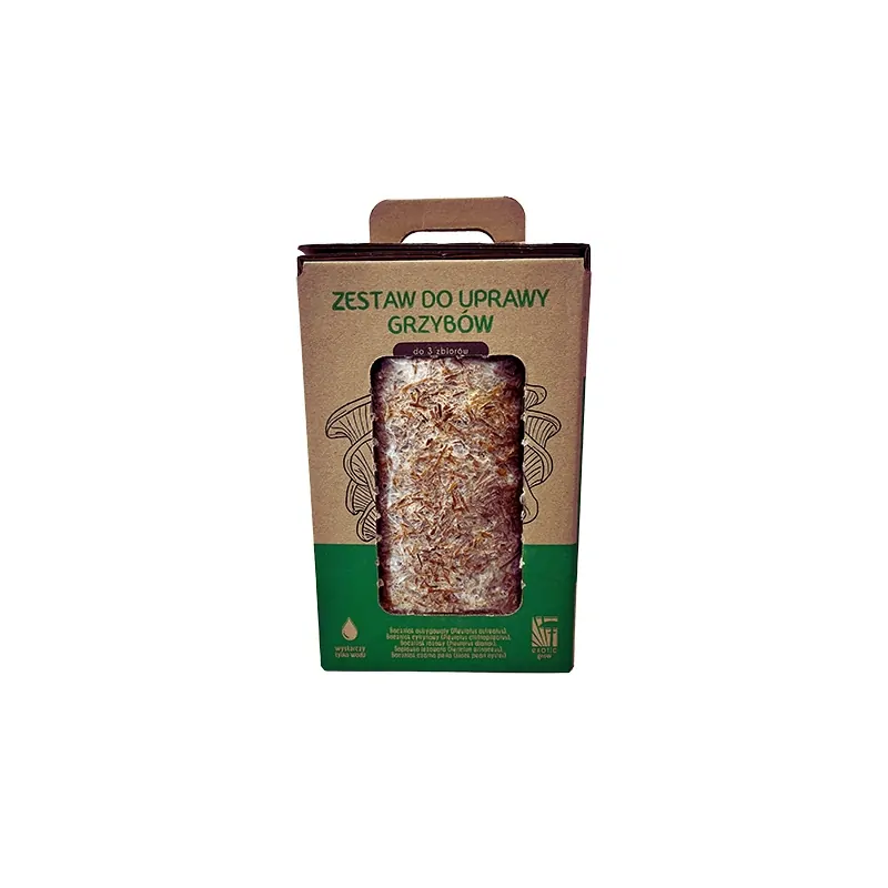 Hlíva ústřičná GROW KIT